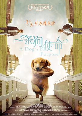 《蜂蜜的针》曝终极预告 袁泉上演除害猎杀法则3453人看过 《阳光女子合唱团》MV上线 A-lin歌唱爱与幸福2103人看过 《天才游戏》曝预告 彭昱畅丁禹兮化身纯恨宿敌2667人看过 《纯真年代的爱情》研讨会 孙千王天辰忆拍摄往3157人看过 新闻首页 电影新闻首页 明星新闻 华语 海外 成龙、梁朝伟、小贝、李栋旭等观战NBA中国赛 日前,25-26赛季NBA季前赛在中国澳门举行,成龙、梁朝伟 、刘嘉玲、任达华、大卫·贝克汉姆、林书豪、李小鹏、李栋旭、刘宪华、杜华、李汶翰等到场观... 《球状闪电》官宣 童瑶、王安宇、杨立新领衔主 9月25日,根据刘慈欣同名小说改编而成的剧集《球状闪电》阵容官宣,由陈思诚监制,戴墨执导,童瑶、王安宇、杨立新领衔主演,周一围、丁勇岱特邀主演,杨玏、... 倪妮、宋威龙外网生图抗打 时装周同场黛米·摩2025-09-24 汤唯、乔贝贝、张婧仪、吴磊等亮相伦敦时装周2025-09-24 演员于朦胧坠楼身亡 杨幂、迪丽热巴等发文悼念2025-09-12 《跛豪》《新上海滩》导演潘文杰逝世 享年69岁2025-09-10 更多 堪比时装周!