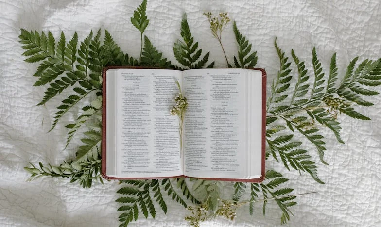 Encontrando Paz a Través de la Oración: Cómo Navegamos una Difícil Petición de Mi Suegra